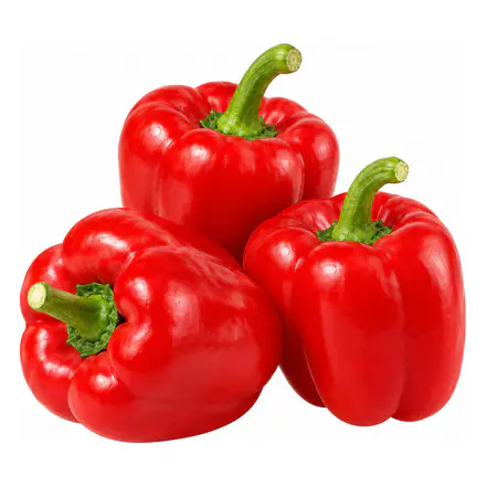 Red Capsicum